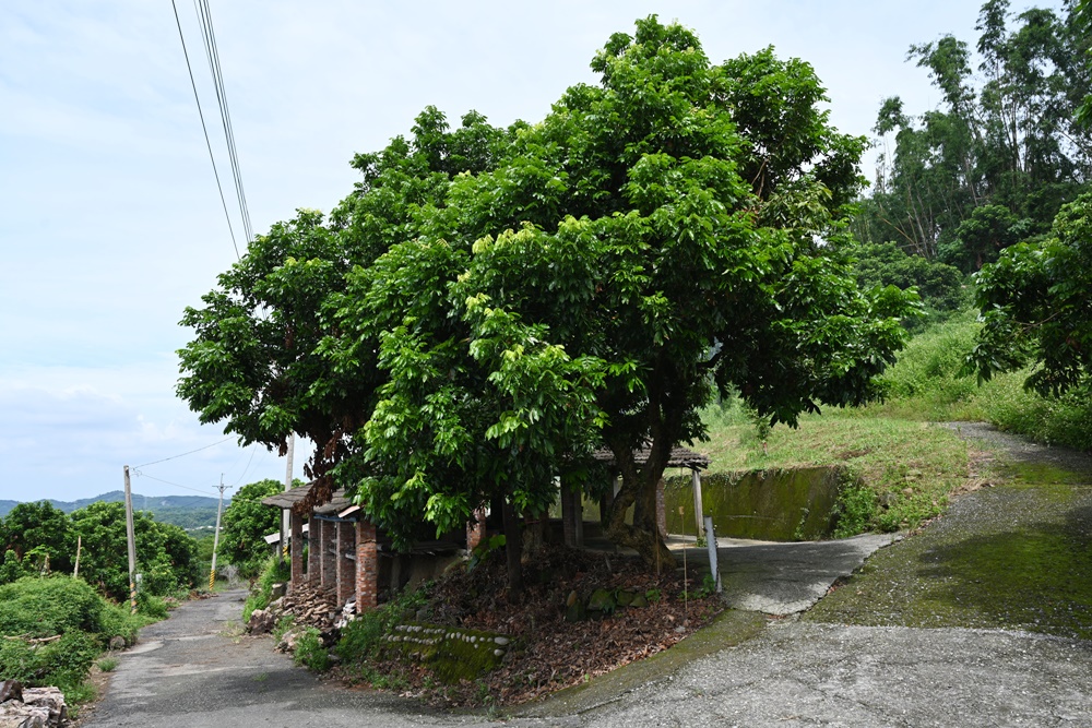 台南東山住宿推薦。仙湖休閒農場 人與山旅宿 一泊二食、無邊際游泳池、桂圓烘焙寮！俗女養成記拍攝景點！