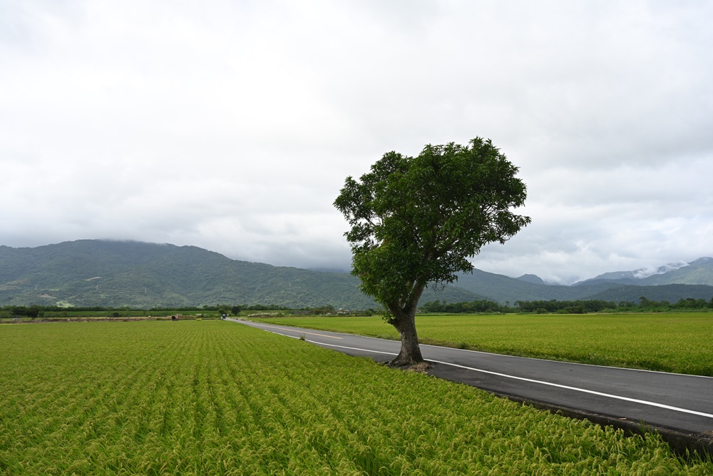 花蓮三天兩夜旅遊推薦。兩泉騎美低碳旅遊 一次暢遊花蓮瑞穗 玉里安通溫泉、193縣道、花蓮美食、景點！