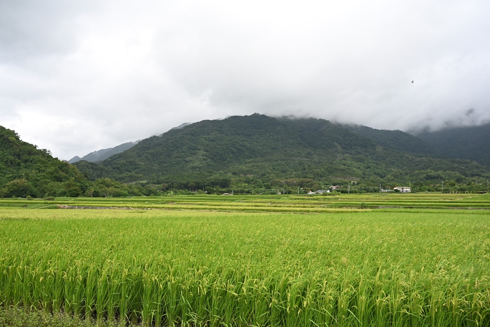 花蓮三天兩夜旅遊推薦。兩泉騎美低碳旅遊 一次暢遊花蓮瑞穗 玉里安通溫泉、193縣道、花蓮美食、景點！