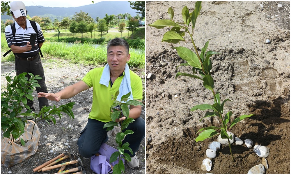 花蓮旅遊。理想植樹 ESG零碳旅遊 種樹造林愛地球！ 種下自己在花蓮第一顆樹！