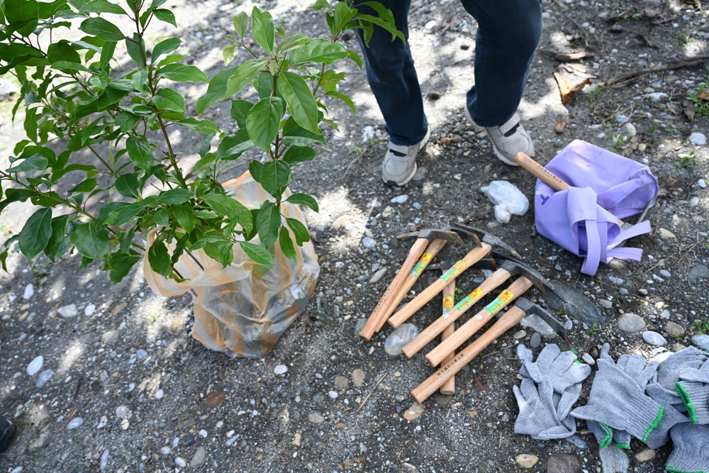 花蓮旅遊。理想植樹 ESG零碳旅遊 種樹造林愛地球！ 種下自己在花蓮第一顆樹！