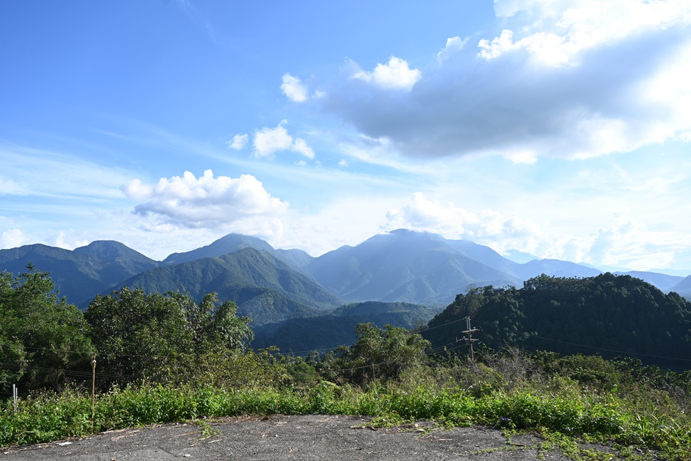 南投一日遊。2024日月潭紅茶文化季 茶香魚池任遨遊 特色小旅行、認識日月潭紅茶、咖啡、品茗、DIY烘豆體驗！