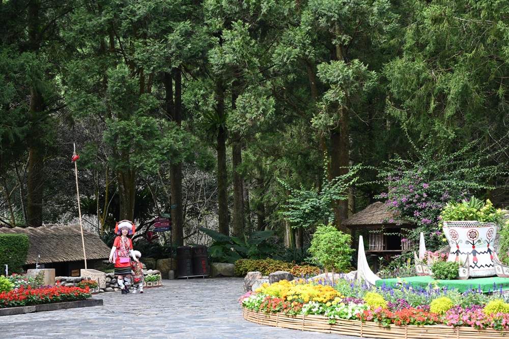 南投一日遊。九族文化村 部落花季-秋之盛典 搭山豬纜車鳥瞰日月潭湖光山色！