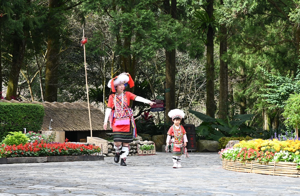 南投一日遊。九族文化村 部落花季-秋之盛典 搭山豬纜車鳥瞰日月潭湖光山色！