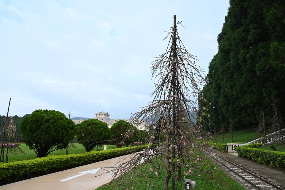 南投一日遊。九族文化村 部落花季-秋之盛典 搭山豬纜車鳥瞰日月潭湖光山色！