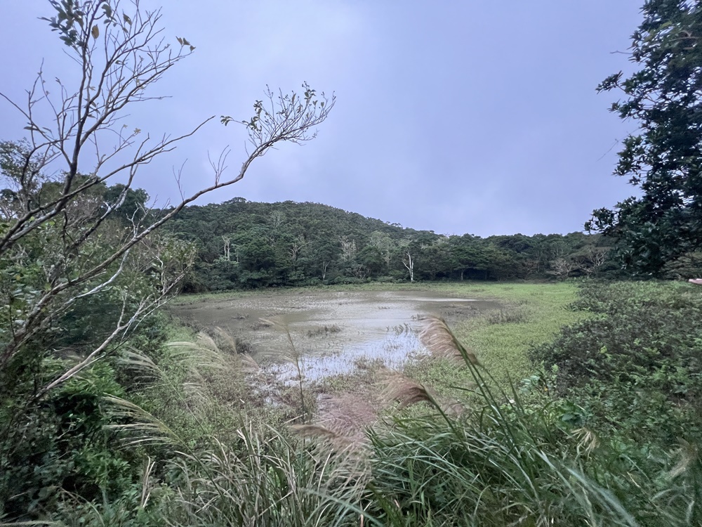 屏東牡丹兩天一夜旅行記。高士佛文化體驗手作陶珠、四林格山賞子母湖、祖靈平安符DIY體驗！森林冒險好刺激！饗在地農產好禮！自然與文化的深度體驗！