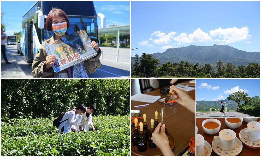 台東二日遊。原野香憩 舌尖上的臺東風土食旅！部落旅遊、農事體驗、原住民酒釀、油芒、台東紅烏龍、星空酒吧、星空導覽！