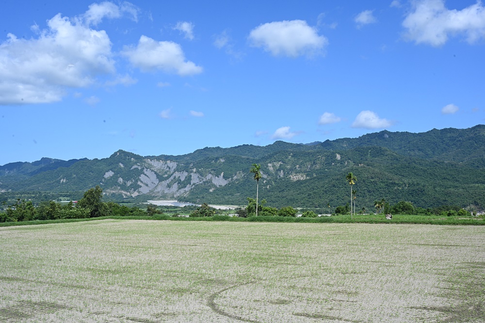 台東鹿野。女兒不懂茶 新式茶空間體驗！