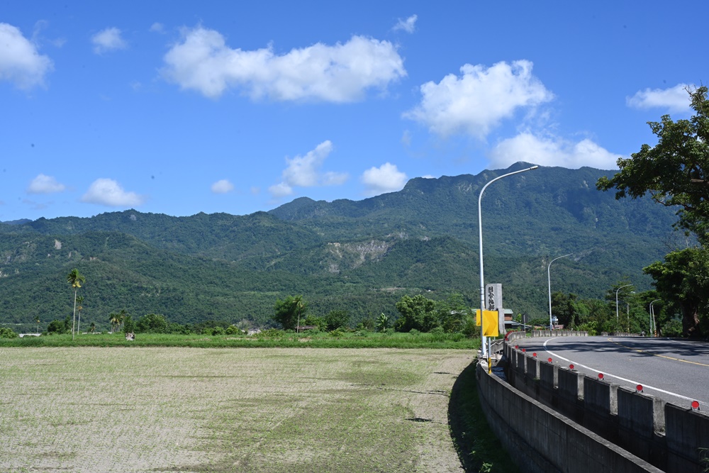 台東鹿野。女兒不懂茶 新式茶空間體驗！