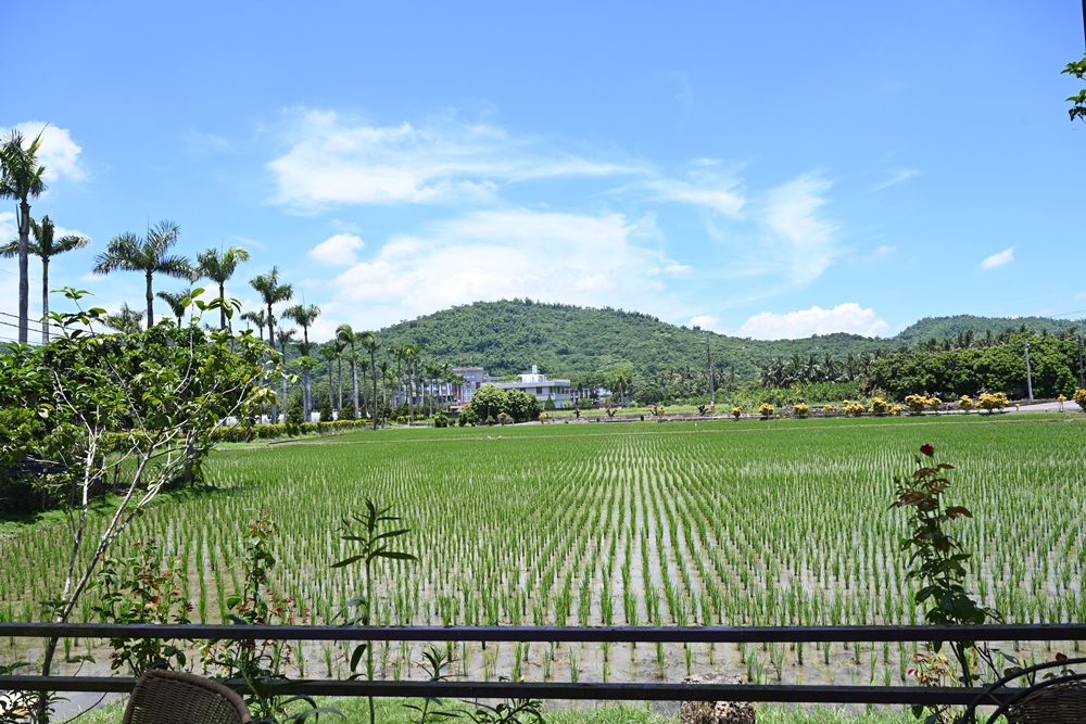 高雄旗山美食。La Salsa 香草花園 DIY窯燒麵包、窯燒花生豬腳、桶子雞、土窯雞！高雄一日遊！