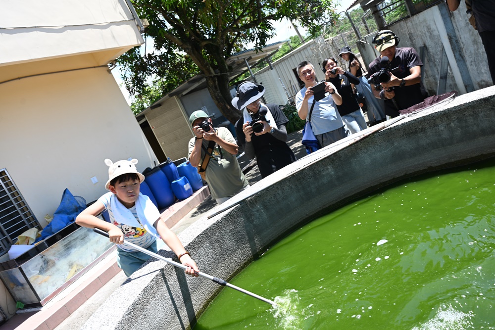 高雄一日遊。思原魚菜共生農場 魚菜共生、蚓菜共生、拔芭樂、餵羊、撿雞蛋 親子同樂 寓教於樂的好地方！