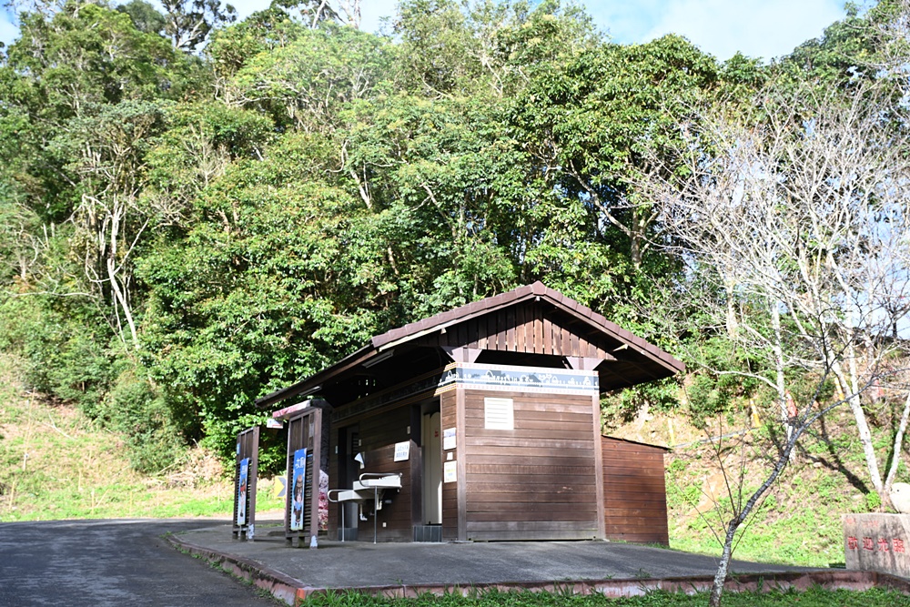 高雄賞櫻景點。全台最早「櫻前線」二集團櫻花公園 山櫻花、河津櫻、吉野櫻夢幻綻放！2025桃源櫻花季！