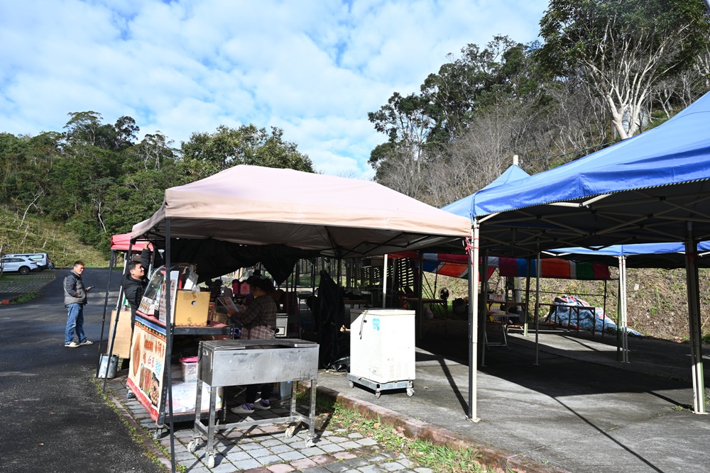 高雄賞櫻景點。全台最早「櫻前線」二集團櫻花公園 山櫻花、河津櫻、吉野櫻夢幻綻放！2025桃源櫻花季！