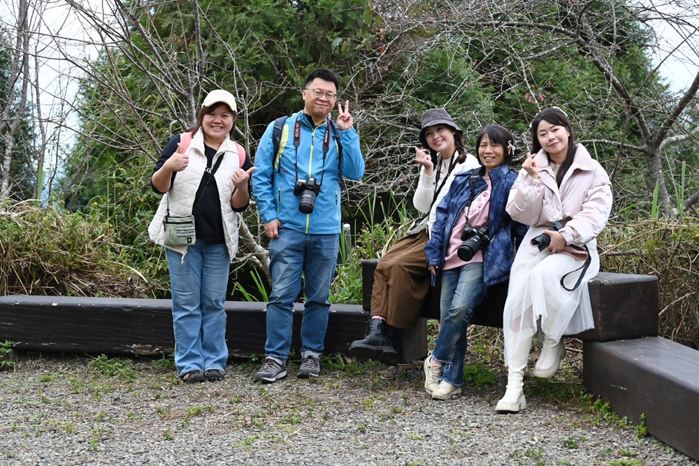 高雄賞櫻景點。全台最早「櫻前線」二集團櫻花公園 山櫻花、河津櫻、吉野櫻夢幻綻放！2025桃源櫻花季！