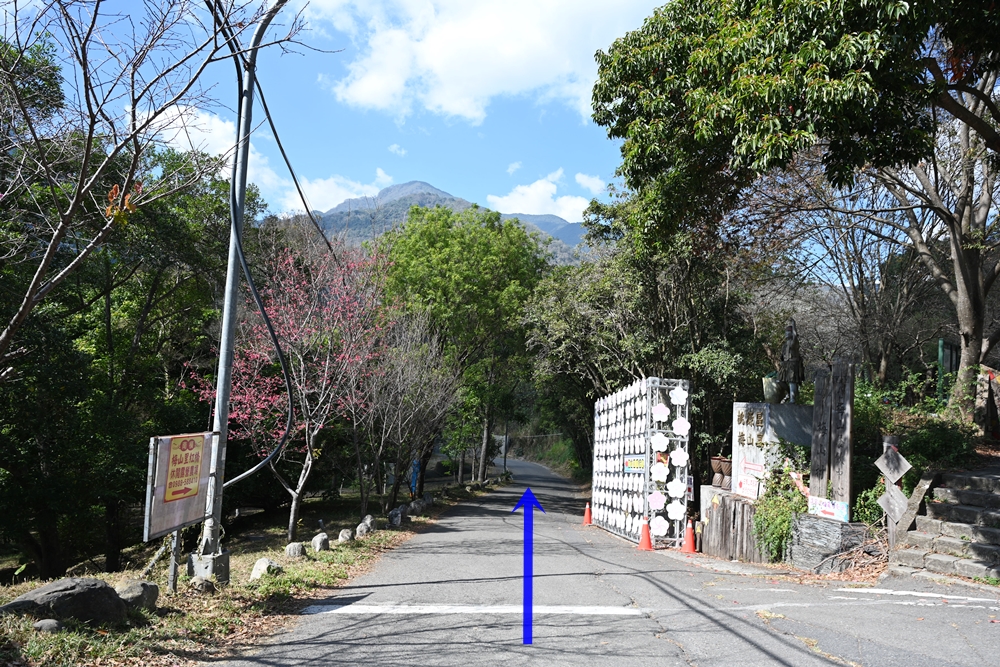 東高雄二日遊。二集團櫻花公園、桃源梅園秘境 賞櫻、賞梅一次滿足！還有美食餐廳、合法露營區推薦！