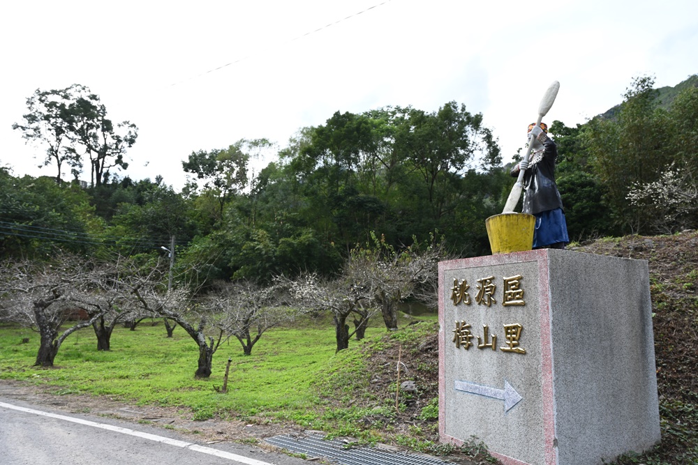 東高雄二日遊。二集團櫻花公園、桃源梅園秘境 賞櫻、賞梅一次滿足！還有美食餐廳、合法露營區推薦！