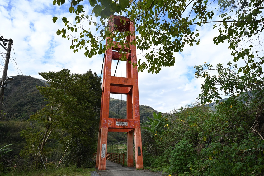 東高雄二日遊。二集團櫻花公園、桃源梅園秘境 賞櫻、賞梅一次滿足！還有美食餐廳、合法露營區推薦！