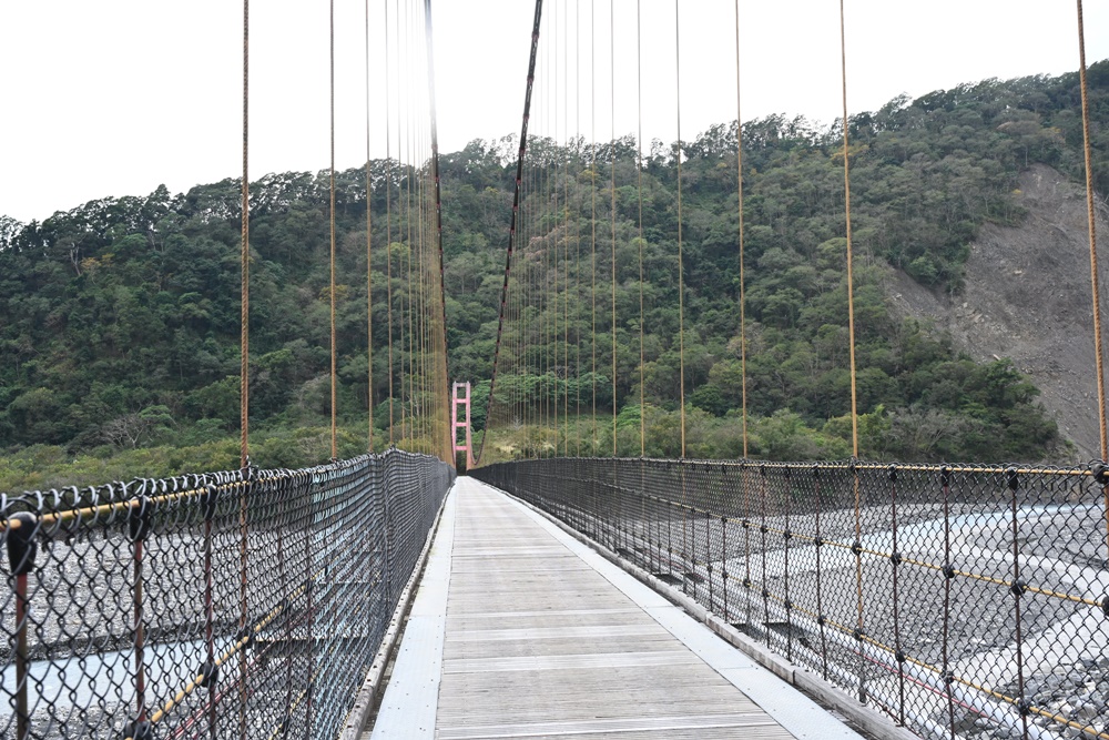 東高雄二日遊。二集團櫻花公園、桃源梅園秘境 賞櫻、賞梅一次滿足！還有美食餐廳、合法露營區推薦！