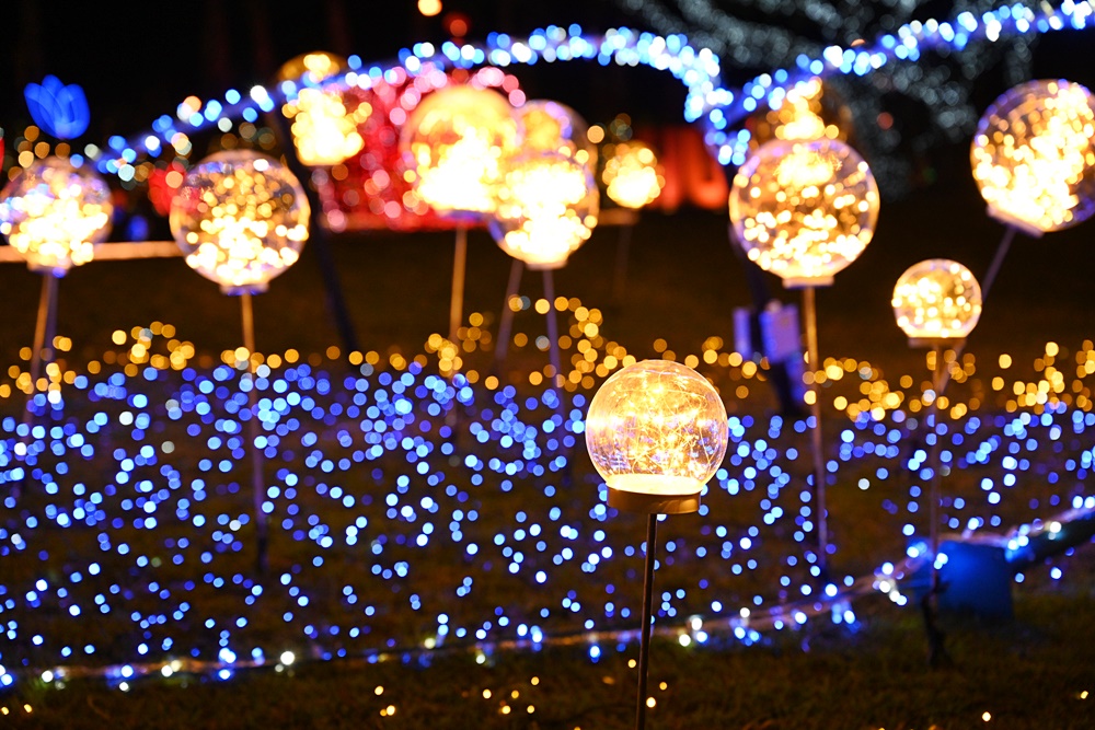 花蓮旅遊。2025花蓮太平洋燈會 繁花盛開百花齊放 1/17~2/16 花蓮日出大道璀璨盛開！