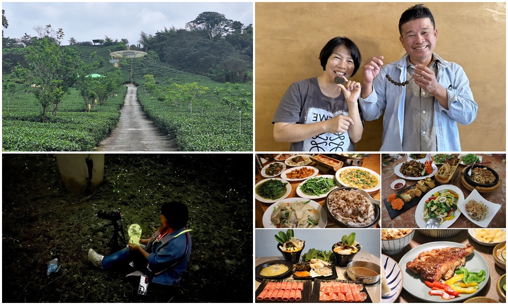 南投二日遊。南投鹿谷賞螢趣、品嘗在地美食、炸蟋蟀、苦茶油拌飯、DIY玩點茶、Q茶球、南投住宿推薦！