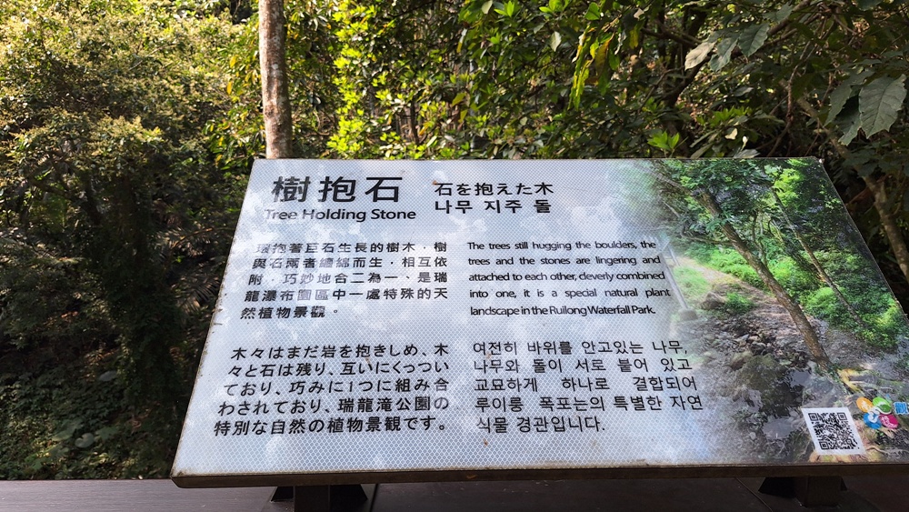 南投二日遊。南投鹿谷賞螢趣、品嘗在地美食、炸蟋蟀、苦茶油拌飯、DIY玩點茶、Q茶球、南投住宿推薦! 南投二日遊。南投鹿谷賞螢趣、品嘗在地美食、炸蟋蟀、苦茶油拌飯、DIY玩點茶、Q茶球、南投住宿推薦!