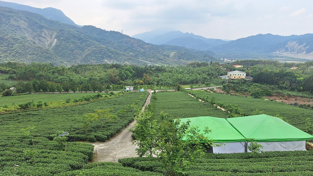 南投二日遊。南投鹿谷賞螢趣、品嘗在地美食、炸蟋蟀、苦茶油拌飯、DIY玩點茶、Q茶球、南投住宿推薦! 南投二日遊。南投鹿谷賞螢趣、品嘗在地美食、炸蟋蟀、苦茶油拌飯、DIY玩點茶、Q茶球、南投住宿推薦!