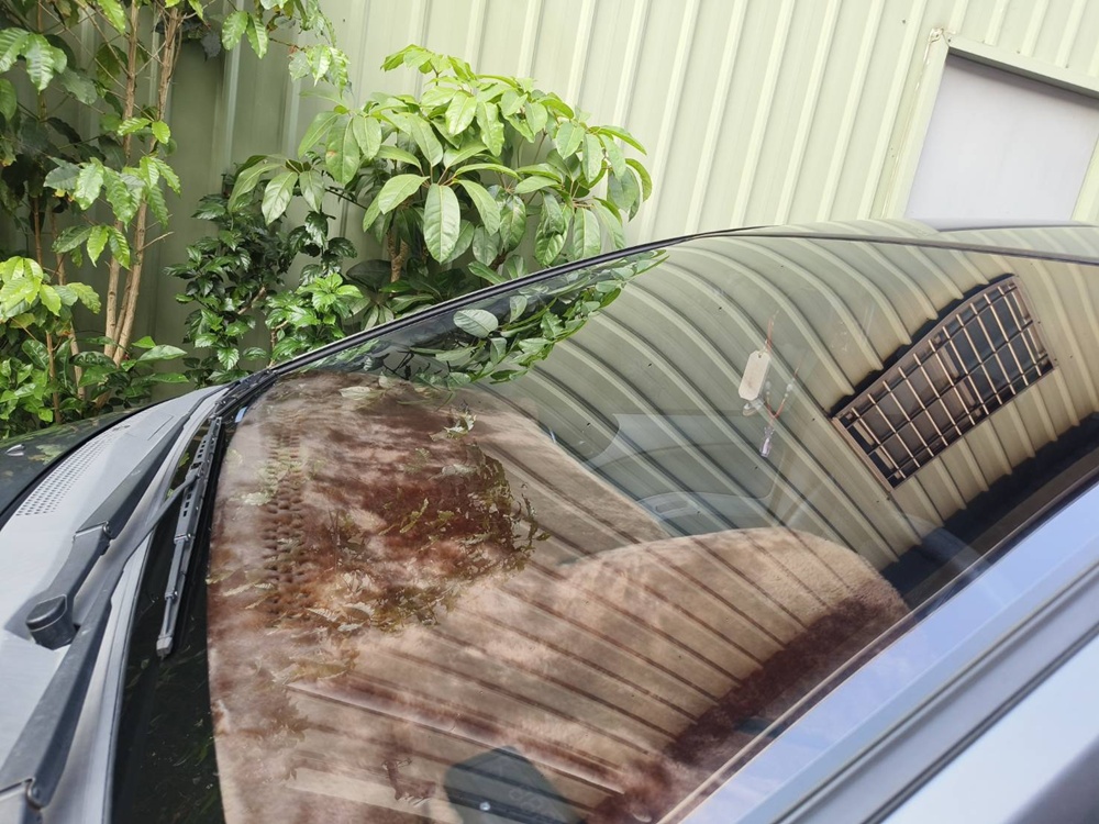 高雄鍍膜推薦。士季車體鍍膜技研 精緻洗車、車體美容、車體鍍膜、玻璃鍍膜！