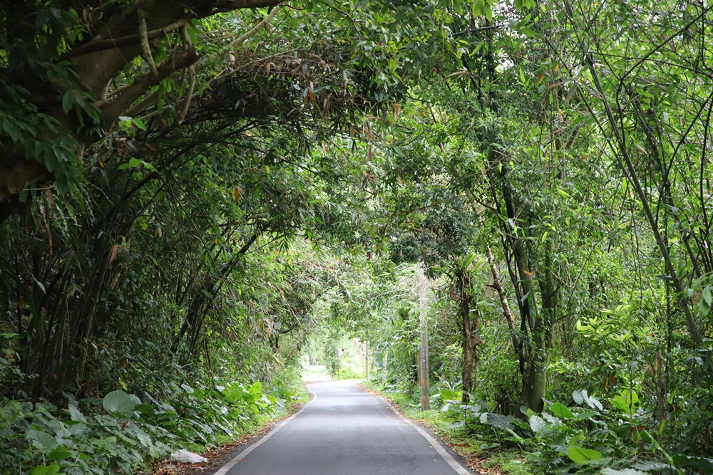 宜蘭員山民宿推薦。布魯克森林 BrooKburg 一秒讓你走進歐洲小鎮！