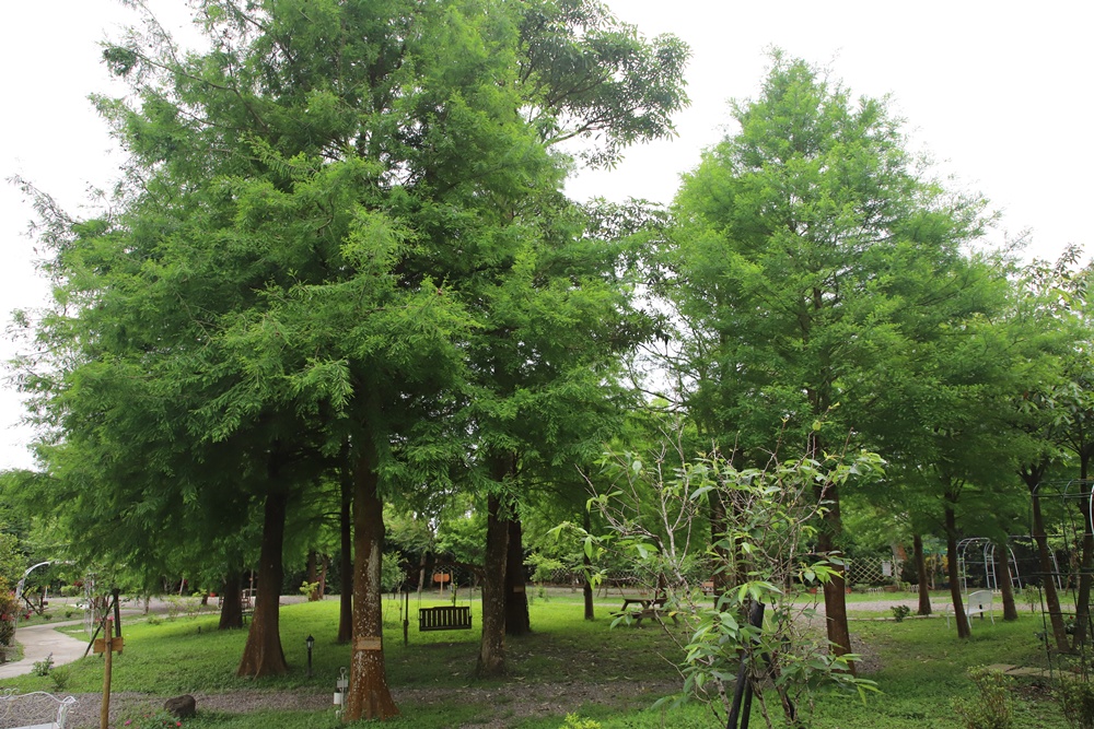 宜蘭員山民宿推薦。布魯克森林 BrooKburg 一秒讓你走進歐洲小鎮！