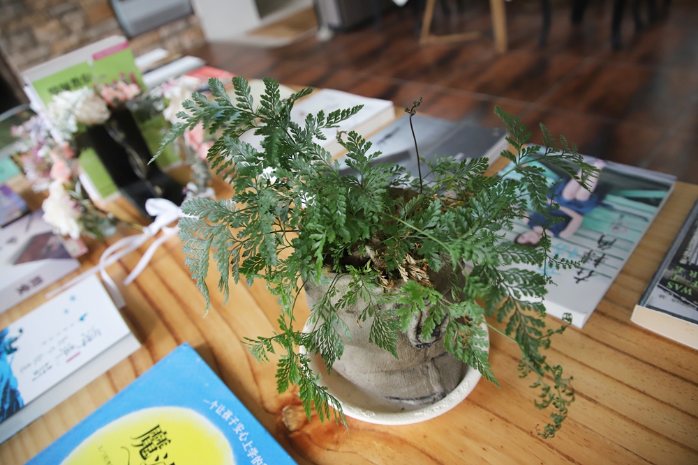 宜蘭員山民宿推薦。布魯克森林 BrooKburg 一秒讓你走進歐洲小鎮！