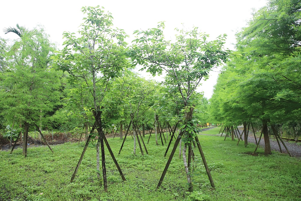 宜蘭員山民宿推薦。布魯克森林 BrooKburg 一秒讓你走進歐洲小鎮！