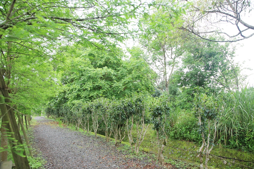 宜蘭員山民宿推薦。布魯克森林 BrooKburg 一秒讓你走進歐洲小鎮！