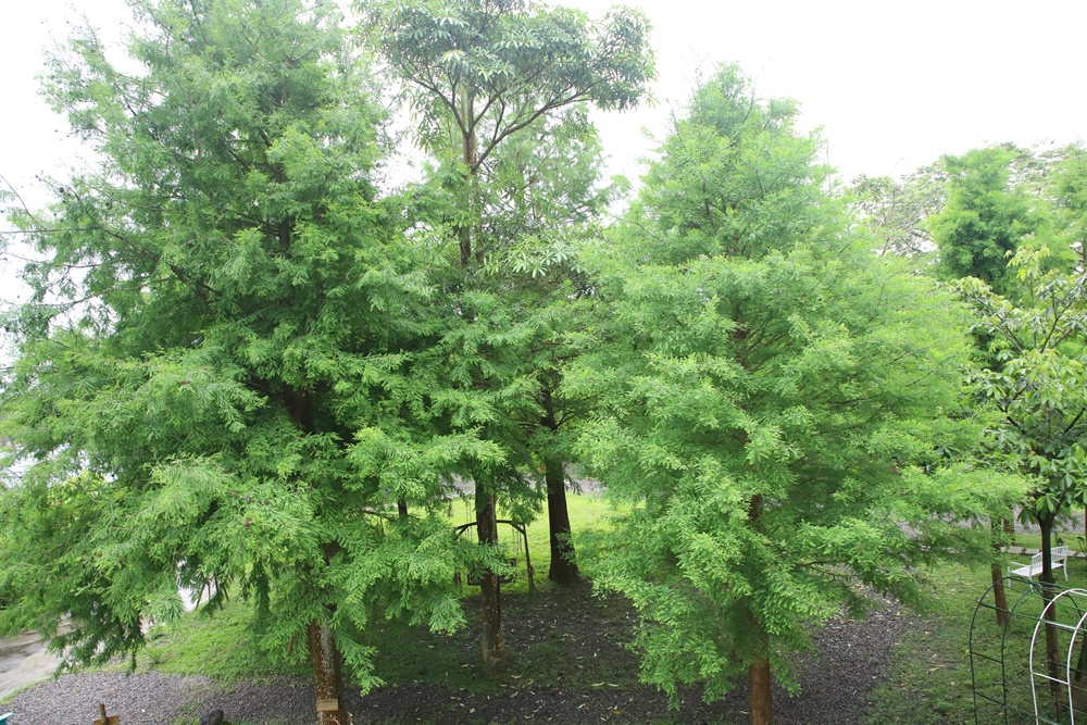 宜蘭員山民宿推薦。布魯克森林 BrooKburg 一秒讓你走進歐洲小鎮！