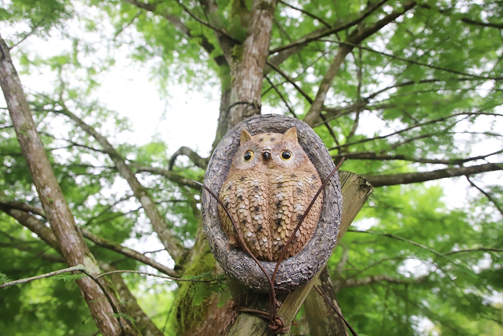 宜蘭員山民宿推薦。布魯克森林 BrooKburg 一秒讓你走進歐洲小鎮！