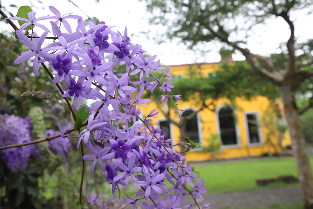 宜蘭員山民宿推薦。布魯克森林 BrooKburg 一秒讓你走進歐洲小鎮！