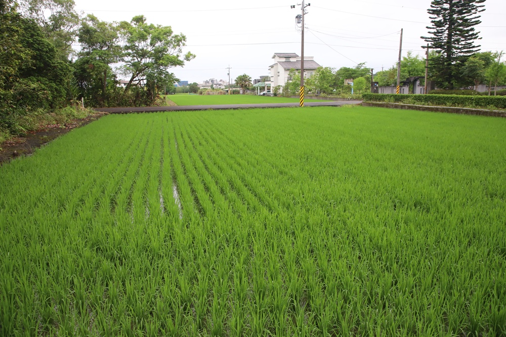 宜蘭員山民宿推薦。布魯克森林 BrooKburg 一秒讓你走進歐洲小鎮！