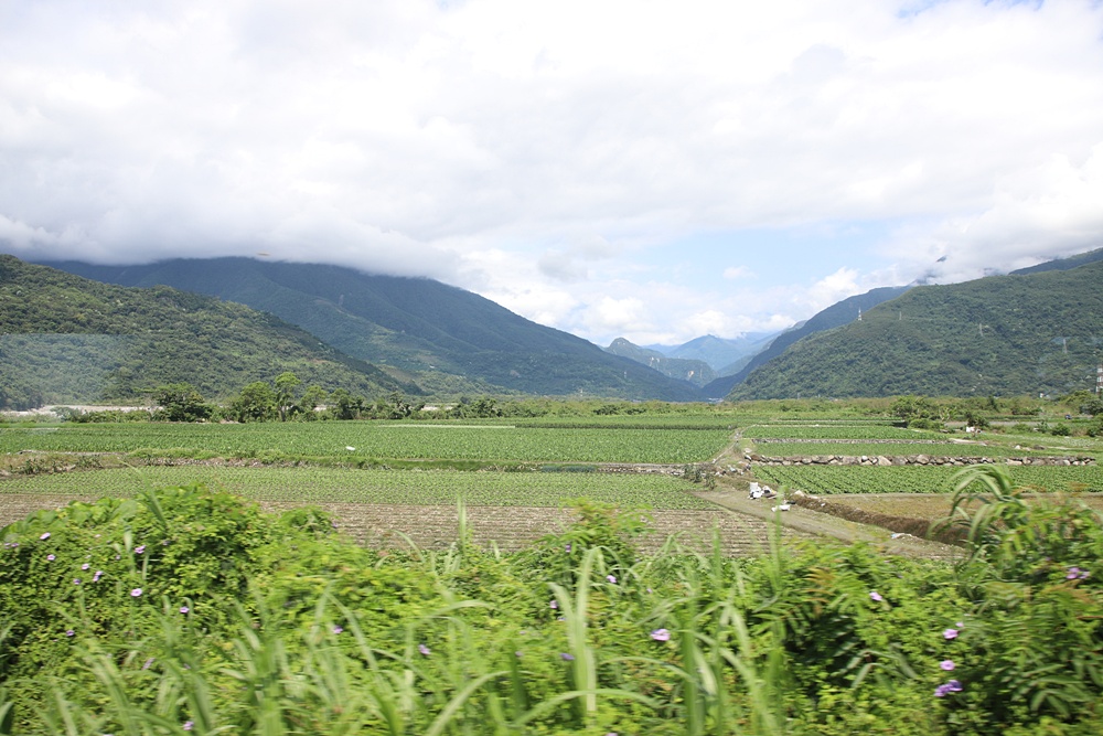 花東旅遊。山嵐號 花東縱谷旬味觀光列車 票價、行駛路線、山海宴餐盒、和菓子甜點! 花東旅遊。山嵐號 花東縱谷旬味觀光列車 票價、行駛路線、山海宴餐盒、和菓子甜點!