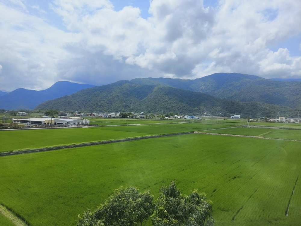 花東旅遊。山嵐號 花東縱谷旬味觀光列車 票價、行駛路線、山海宴餐盒、和菓子甜點! 花東旅遊。山嵐號 花東縱谷旬味觀光列車 票價、行駛路線、山海宴餐盒、和菓子甜點!