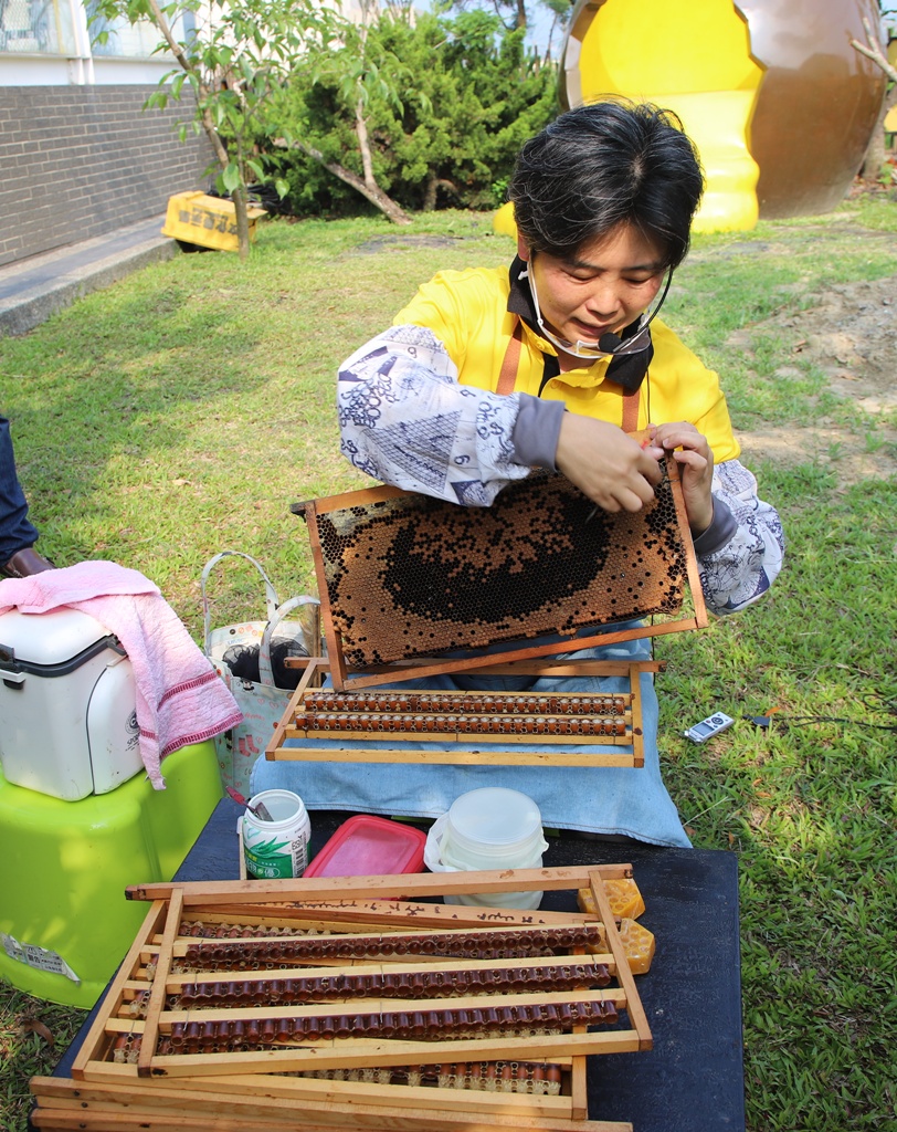 台南景點。東和蜂文化觀光工廠 蜜蜂主題故事館、免門票參觀、蜂王乳採集、品嚐蜂王乳、蜂場體驗、親子旅遊推薦! 台南景點。東和蜂文化觀光工廠 蜜蜂主題故事館、免門票參觀、蜂王乳採集、品嚐蜂王乳、蜂場體驗、親子旅遊推薦!