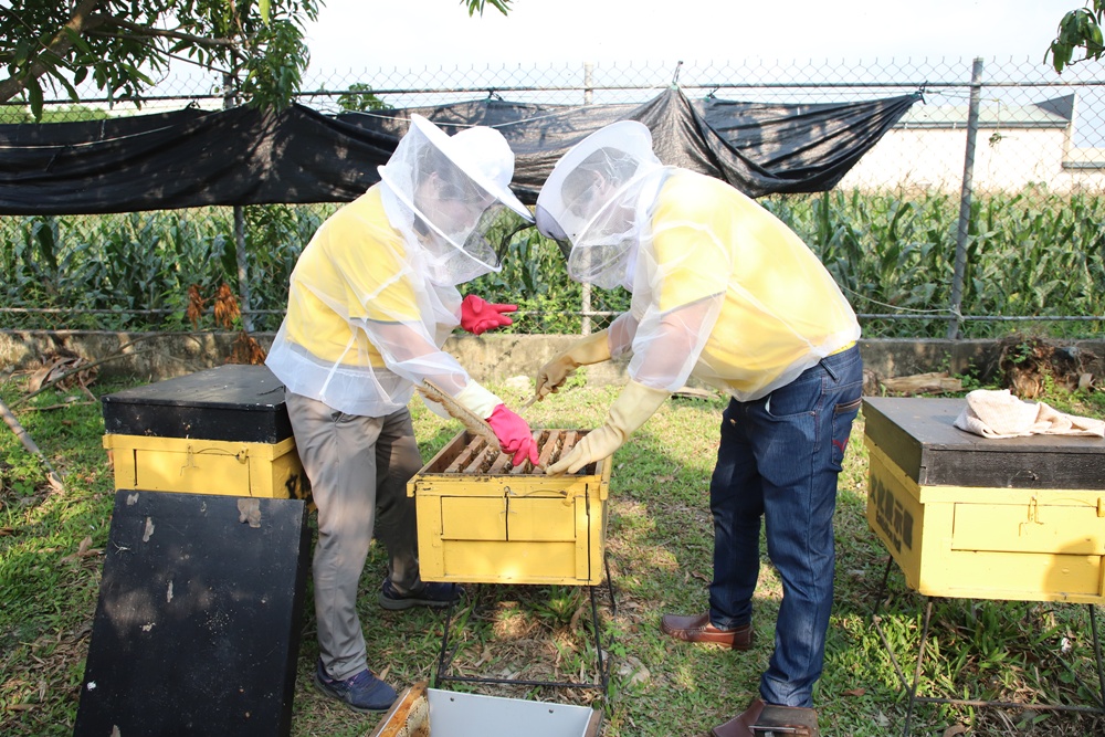台南景點。東和蜂文化觀光工廠 蜜蜂主題故事館、免門票參觀、蜂王乳採集、品嚐蜂王乳、蜂場體驗、親子旅遊推薦! 台南景點。東和蜂文化觀光工廠 蜜蜂主題故事館、免門票參觀、蜂王乳採集、品嚐蜂王乳、蜂場體驗、親子旅遊推薦!