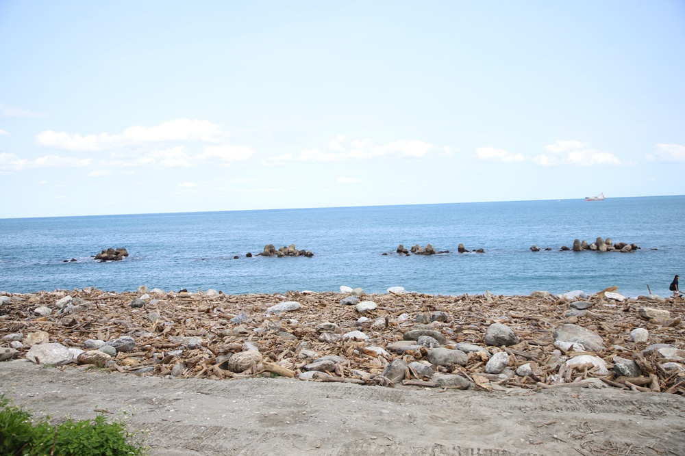 花蓮旅遊。太平洋公園(花蓮南濱公園) 海是愛花蓮-漂流木藝術節! 花蓮旅遊。太平洋公園(花蓮南濱公園) 海是愛花蓮-漂流木藝術節!