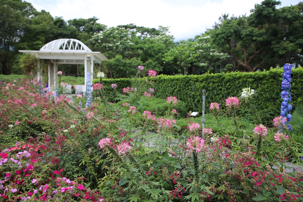 花蓮住宿推薦。秧悦美地度假酒店 香草花園villa酒店、有機香草蒸氣浴室、瑜珈運動、一泊二食！