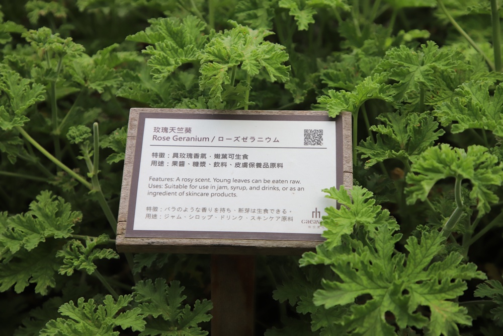 花蓮住宿推薦。秧悦美地度假酒店 香草花園villa酒店、有機香草蒸氣浴室、瑜珈運動、一泊二食！