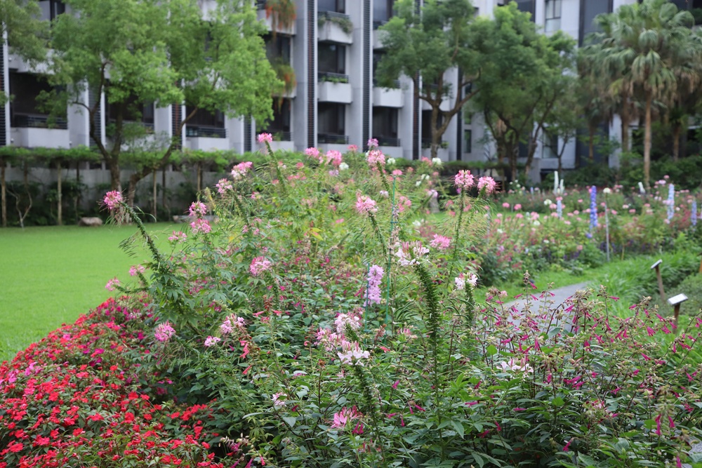 花蓮住宿推薦。秧悦美地度假酒店 香草花園villa酒店、有機香草蒸氣浴室、瑜珈運動、一泊二食！