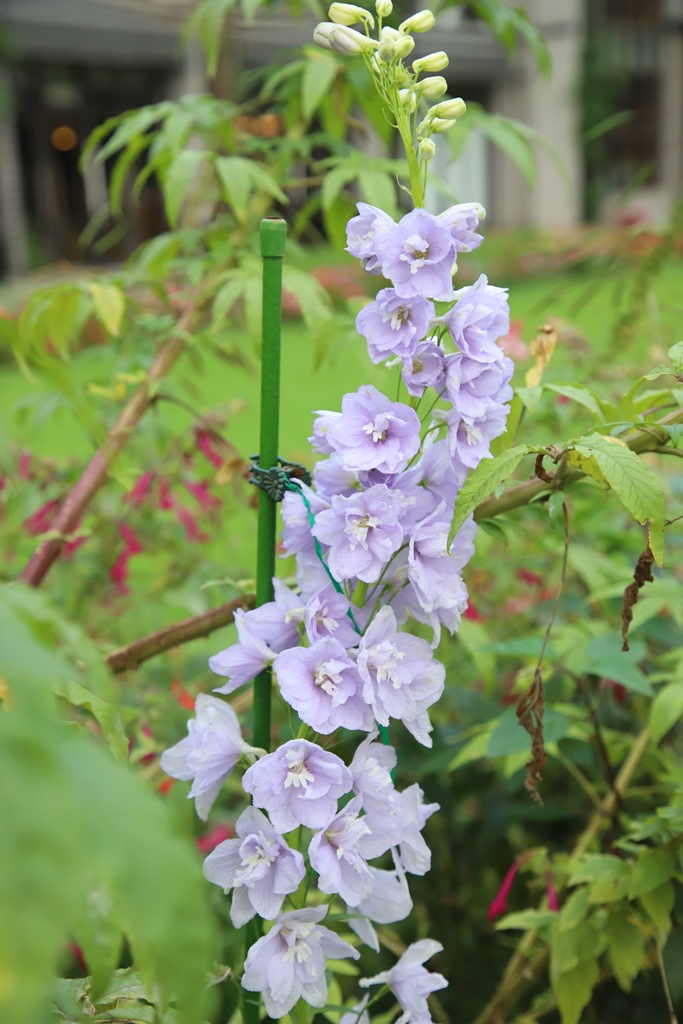 花蓮住宿推薦。秧悦美地度假酒店 香草花園villa酒店、有機香草蒸氣浴室、瑜珈運動、一泊二食！