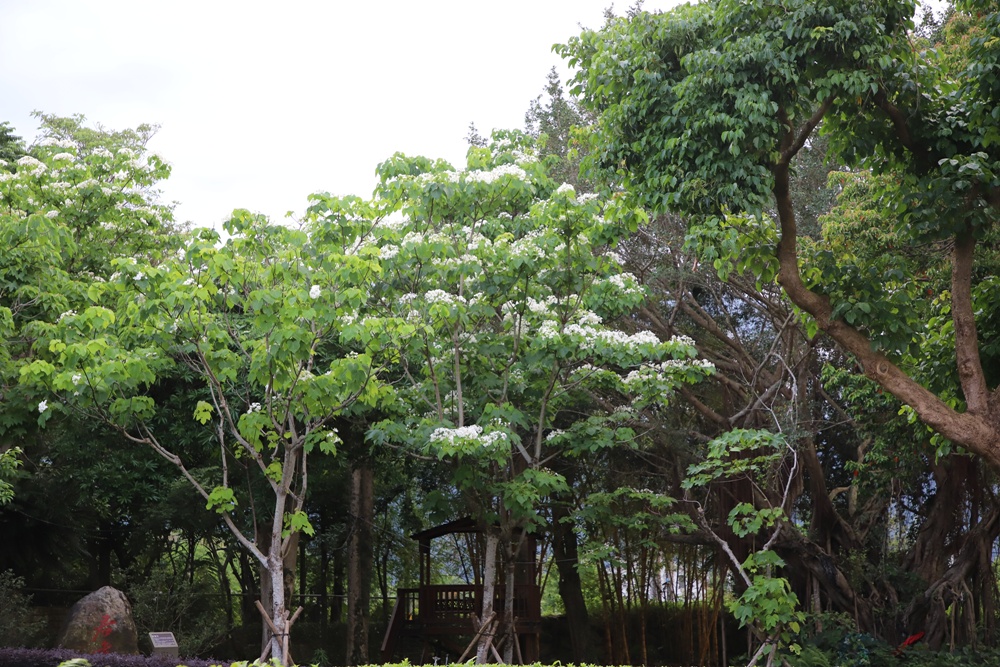 花蓮住宿推薦。秧悦美地度假酒店 香草花園villa酒店、有機香草蒸氣浴室、瑜珈運動、一泊二食！