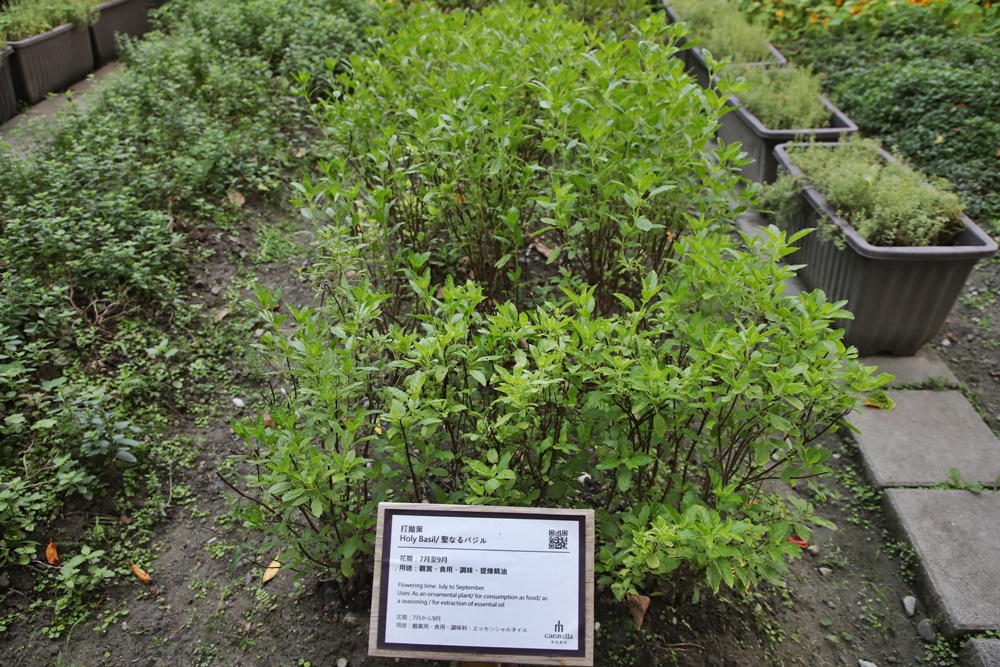 花蓮住宿推薦。秧悦美地度假酒店 香草花園villa酒店、有機香草蒸氣浴室、瑜珈運動、一泊二食！