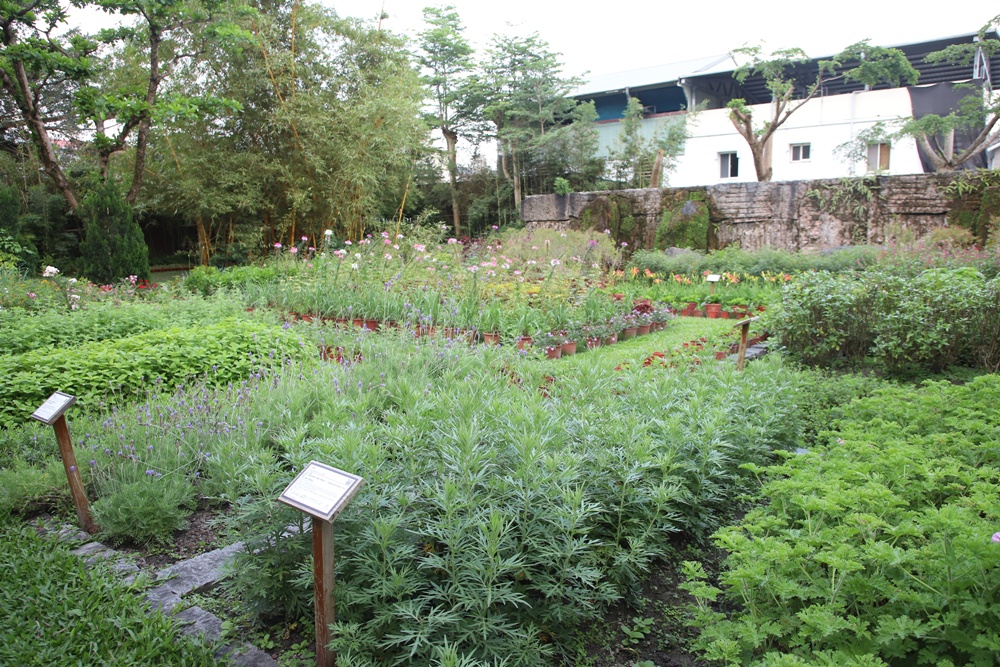 花蓮住宿推薦。秧悦美地度假酒店 香草花園villa酒店、有機香草蒸氣浴室、瑜珈運動、一泊二食！