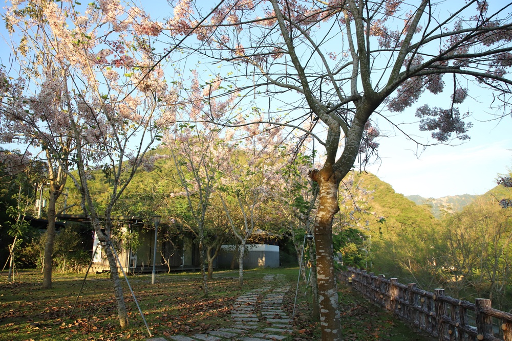 台南楠西住宿推薦。龜丹六二溫泉山房 露天泡湯大眾池、溫泉脈衝池、VIP家庭房泡湯池、住宿、聚餐、泡湯推薦！
