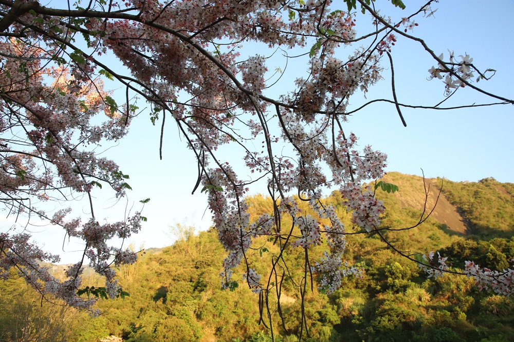 台南楠西住宿推薦。龜丹六二溫泉山房 露天泡湯大眾池、溫泉脈衝池、VIP家庭房泡湯池、住宿、聚餐、泡湯推薦！